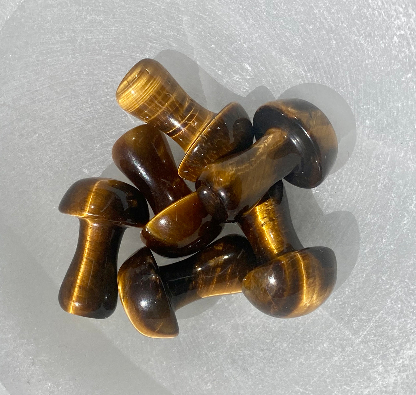 Tigers Eye Mushroom
