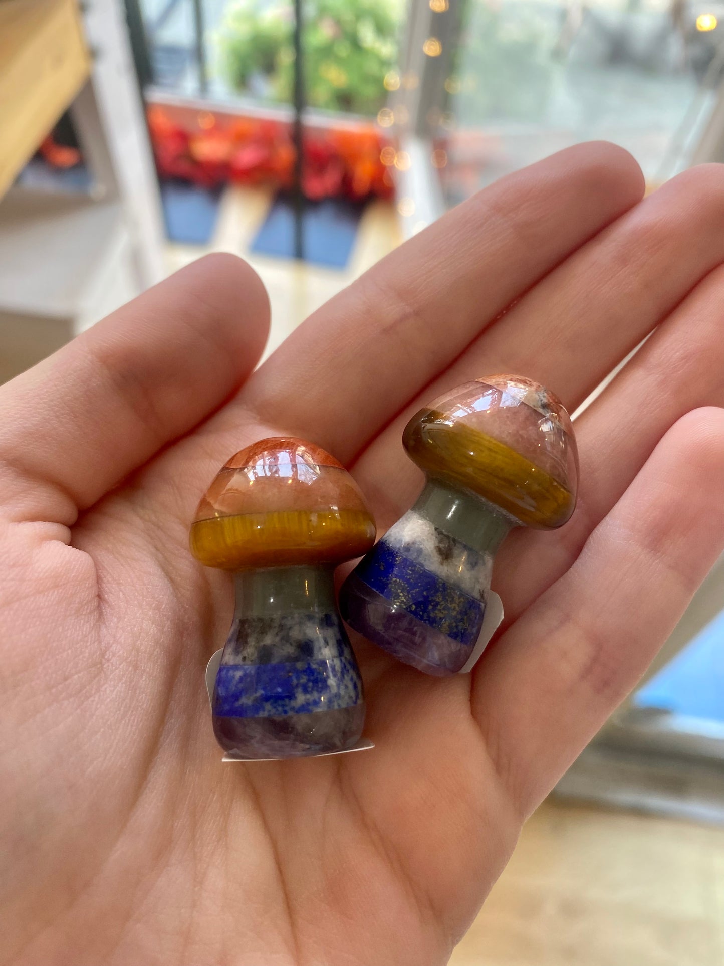 Chakra Mushroom