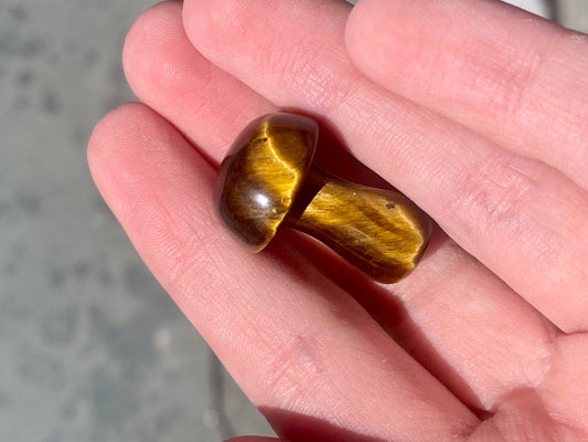 Tigers Eye Mushroom