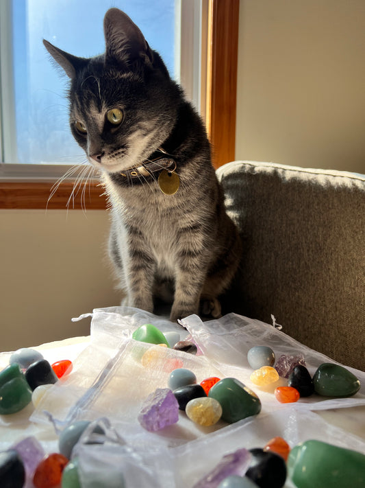 Chakra Crystal Healing Bags