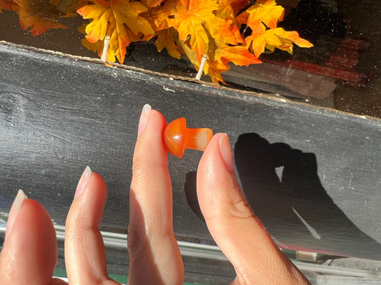 Carnelian Mushroom Crystals