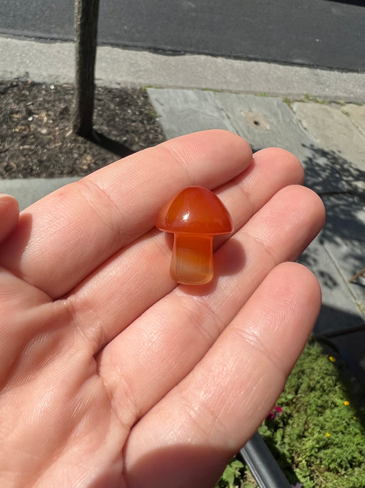 Carnelian Mushroom Crystals